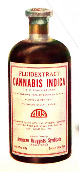 Cannabis Indica